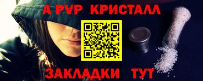 стафф Кингисепп