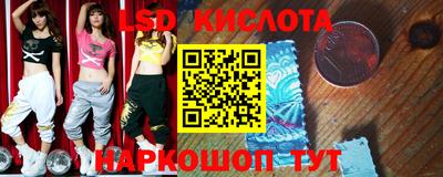 стафф Кингисепп