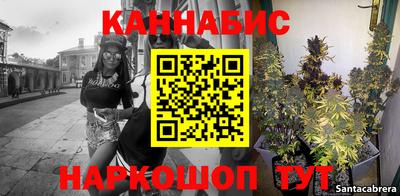 стафф Кингисепп