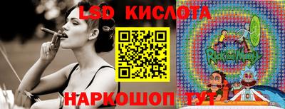 стафф Кингисепп