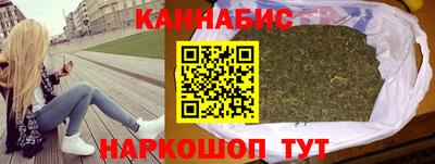 стафф Кингисепп