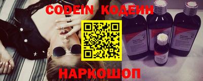 стафф Кингисепп