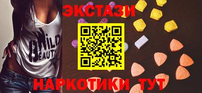 стафф Кингисепп