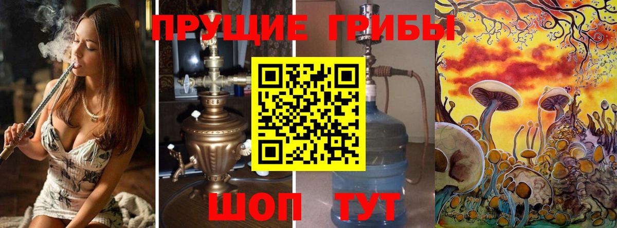 Галлюциногенные грибы Psilocybe  Вход с VPN  Лабытнанги 